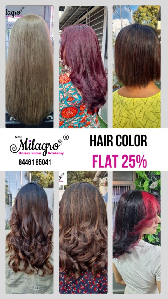 WhatsApp Image 2026-02-28 at 15.26.42